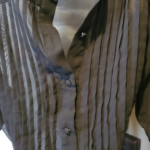 Chadwicks sheer black blouse - Picture 2 of 4